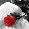 Writing & red roses :) -sapherequeen- photo