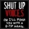 shut up voices para-scence photo