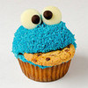 cookie monster cupcake BTR-Forever photo