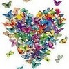 I ♥ butterflies peterslover photo
