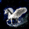 Pegasus RiderOfTempest photo