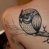 Badass Owl Tatt (Idk who