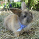 bunnyz's photo