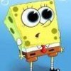 Spongebob Cute InquisitiveOwl photo
