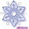purple snowflake rentao01 photo