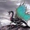 Dragon akimamg photo