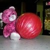 steve & his p!nk bowling ball  wolf101 photo