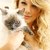 Taylor Swift. :) VelveeHinton photo