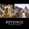revenge is sweet 13treasures photo