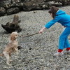Me playing fetch with my dog mrsbieber19 photo