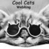 Cool Cats rule! babbytreegrowth photo