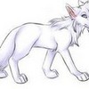 sometimes my fur changes color dont ask y it changes from blcak to white cuz i dont know JR13 photo