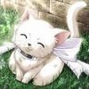 anime/kitty powergirl009 photo