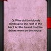 more blonde jokes Crazy8s17 photo