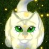 beautiful kitty tepiglover photo